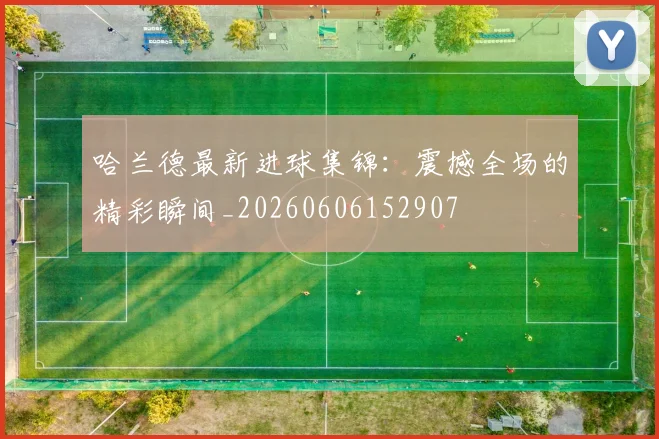 哈兰德最新进球集锦：震撼全场的精彩瞬间_20260606152907